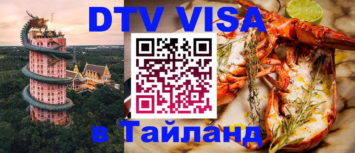 Сколько стоит DTV виза — актуальные цены, оформление даже без документов - Грозный 